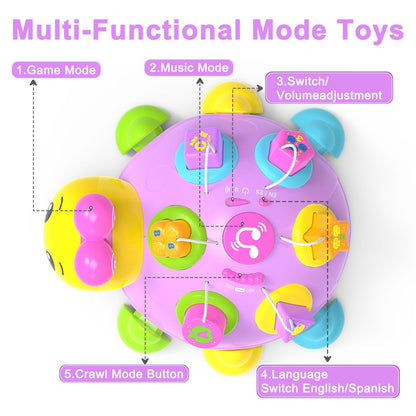 Holaxander Musical Ladybug Baby Toys 6-12 Months, Infant Early Educational Learning Toy for 1+ Year Old Girl, First Birthday Gift Toys for 7 8 9 10 11 Months Newborn Girls (Purple)