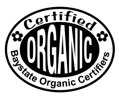 Smoke Camp Crafts Organic Prickly Pear Cactus Plant, Opuntia cochenillifera, in 2.5-inch Pot