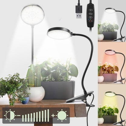 Bufccy Indoor Plant Grow Light, 6000K Full Spectrum LED, Auto On/Off Timer, 9 Dimming Levels, 360 Adjustable Gooseneck, Modern Style, Black