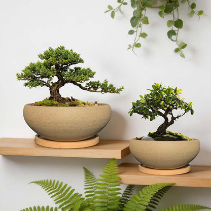 MUZHI 2 Pack Round Unglazed Ceramic Bonsai Pot with Bamboo Tray 8"+6.5", Large Rough Pottery Succulent Planter with Drainage Hole