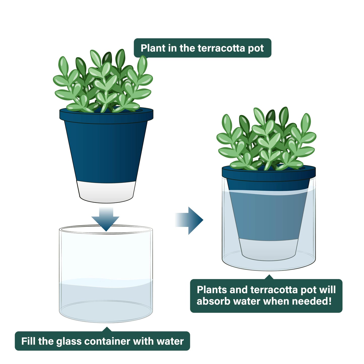 D'vine Dev 4 Inch Design Self Watering Planter for Indoor Plants, Blue Terracotta Pot with Cylinder Glass Cup, Set of 4, 37-Z-A-4-F
