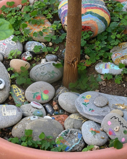 FAHAXIKI Natural River Rocks-5 lbs of Pebbles and River Stones,1-2 Inch Plant Rocks for Landscaping,Garden Paving,Crafting,Walkways,and Outdoor Decorative Stone,Mexican Beach River Rocks