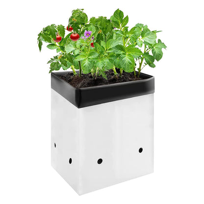 VIVOSUN 50-Pack 5 Gallon Grow Bags for Plants, Black-and-White Thick Plastic Bags for Potting Seedlings, and Rooting
