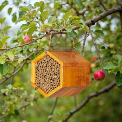 Mason Bee House - Handmade Natural Wooden Bee Hive Coated with Wax for Water-Proof and Long Service Life - Attracts Peaceful Bee Pollinators to Your Garden, Bee Houses for Garden