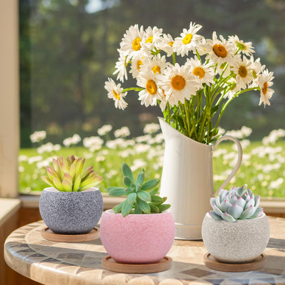 6 Pack Ceramic Succulent Pots with Drainage – Small Round Planters for Indoor Plants & Cactus, Mini Flower Pots with Bamboo Trays, Desk & Home Décor, Gift for Plant Lovers, Office, Balcony, Garden