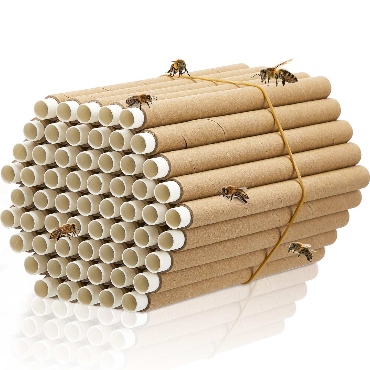 Lewtemi 480 Pcs Mason Bee House Tube Refill Cardboard Bee Tube Paper Mason Beekeeper Cardboard Insert Beekeeping Supplies for Solitary Beehive House Garden Pollinator Nest