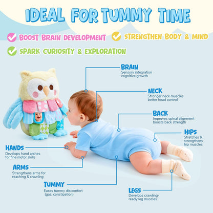 JoyCat Sensory Owl Baby Toy for 0-12 Months, 13''Soft Tummy Time Infant Toy with Multi-Textured Crinkle Feathers, Baby Mirror, Stuffed Animal Plush Montessori Easter Gifts for Newborn Boys and Girls