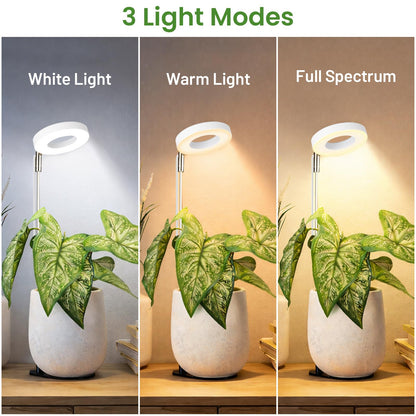 LBW Grow Light for Indoor Plants, Height Adjustable Plant Grow Lamp with Auto On/Off Timer 6/8/12/16H, 3 Colors,5 Dimmable Brightness, for Small Plants, White, 3 Packs