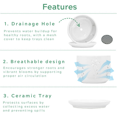 Thriving Thicket 2 Pack, 5 + 6 Inch White Orchid Pots with Holes and Saucer, Ceramic Orchid Planters for Repotting with Drainage Holes and Tray, Plant Flower Pot containers for Orchid Indoor Outdoor