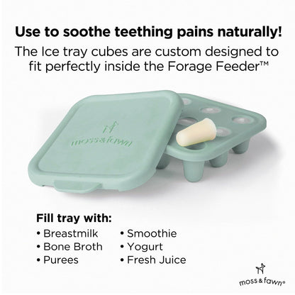 Moss and Fawn Little Explorer Kit - Silicone Frozen Breast Milk Popsicle Kit with Forage Feeder, Teething Popsicle Ice Cube Tray, & Gather & Roll Baby Feeding Bib - BPA, PVC, & Lead-Free - Fern