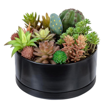 MyGift 8 Inch Black Ceramic Succulent Planter Pot - Decorative Flower Plant Bowl with Removable Saucer