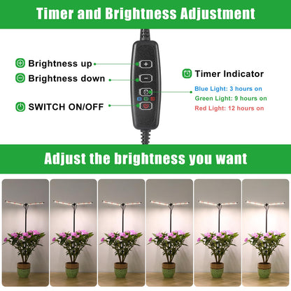 bodkar Plant Grow Lights for Indoor Plants Full Spectrum with 3/6/9H Timer & Dimming, Slim Plant Lights for Indoor Growing with 6000K White Red LEDs for Various Plants