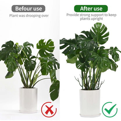 Yhtpouqe 12 Pack Plant Support Stakes, Plant Stakes for Indoor and Outdoor Plants. 39.37inch Plant Sticks with Extension Poles, Plant Clips, Plant Ties for Potted Monstera Plants, Climbing Plants