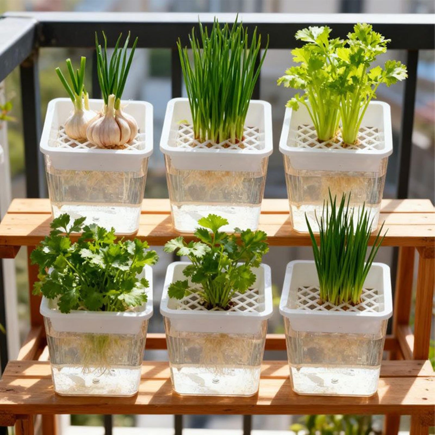 Plant Propagation Station - Clear Soilless Containers for Plants | Hydroponic Pots | For African Violets Alocasia Bedroom Living Room Patio Balcony Desk Porch