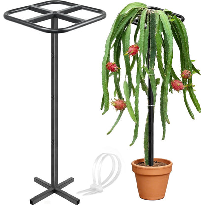 Ansonation Extra Thick Adjustable Dragon Fruit Trellis,Durable Metal Plant Trellis Outdoor Climbing Plants Support Frame for Vertical Gardening Trees Cactus Black
