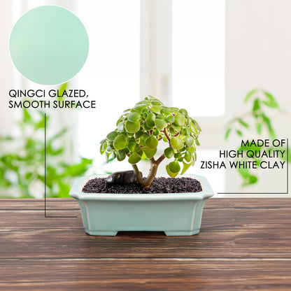 Set of 2 Zisha White Clay Bonsai Pot Glazed Shallow Succulent Planter Light Green