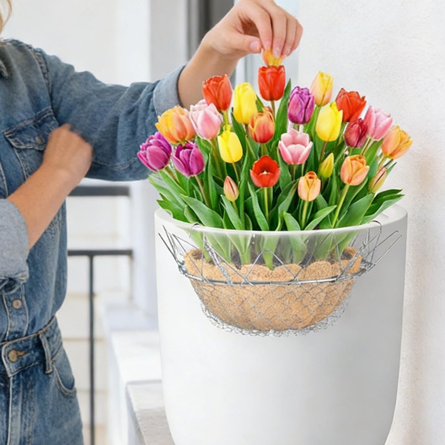 Adjustable Planter Insert,Rustproof Stainless Steel Riser - Adjustable Planter Insert,for Outdoor Indoor Potted Home Soil