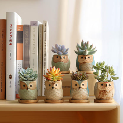 T4U 2.5 Inch Owl Ceramic Succulent Planter Pots with Bamboo Tray Set of 6, Flowing Glaze Porcelain Handicraft Plant Holder Container Gift for Mom Sister Aunt Best for Home Office Garden Decoration