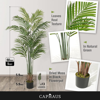 CAPHAUS 5FT Tall Artificial Palm Tree Indoor - Large Fake Palm Plant for Living Room, Realistic Faux Tree UV Resistant Low Maintenance for Home Office Decor (13 Trunks)