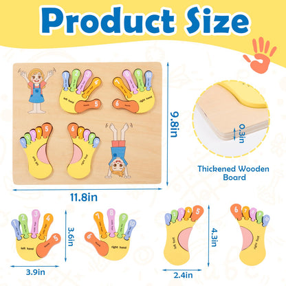 Adena Montessori Number Counting Blocks - Wooden Hands and Feet Shape Toy for Kids, Sorting & Counting Math for Home Classroom, Learn Numbers & Left and Right with Safe Wooden Blocks for Toddlers 3-4