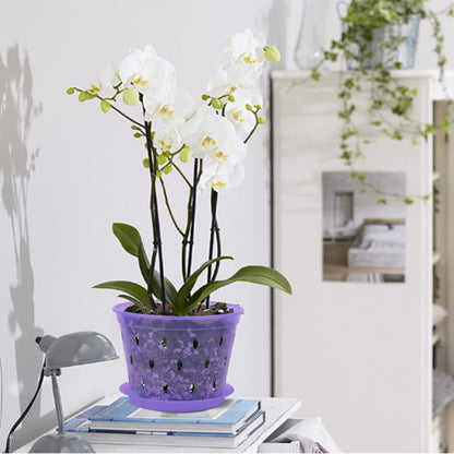 lanccona Orchid Pot, 6.7 Inch 8 Pack Orchid Pots with Holes and Saucers,Plastic Orchid Planter - Purple Amethyst