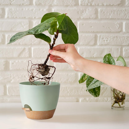 SE SUN-E Self Watering Plant Pot with Drainage Hole,Plant Pots Outdoor Flower Pots for Indoor Plants,Modern Green Plastic Self Watering Planters Succulent Pot 7pcs/Set