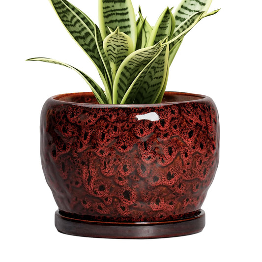 SQOWL Ceramic Pot for Plants - 6 Inch Plant Pot Indoor with Drainage Hole and Saucer, Decorative Flower Pot Outdoor, Round Succulent Planter, Front Porch Decor, House Warming Gifts New Home, Red