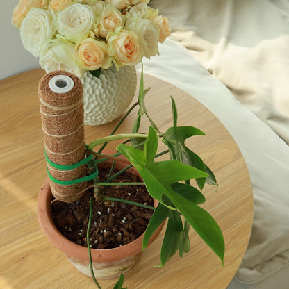 Moss Pole for Plants 4 Pack Natural Coco Coir Climbing Support Stakes with Plant Ties Indoor Monstera Plant Training Extension Poles 7.9inch Each Total 31.6 inch