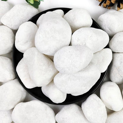 YISZM 5lb White Pebbles for Indoor Plants, 2-3 Inch Natural River Rocks, Snow White Decorative Stones, Ideal for Fish Tank, Vases, Crafting, Home Decor and Garden Landscaping Rocks