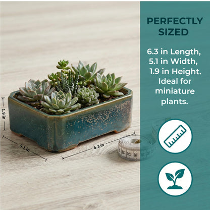 krayce Serenya Ceramic Bonsai Pot Set - 6.3" Rectangular Planter with Drainage Tray, Handmade Kiln-Glazed, Indoor/Outdoor for Succulents, Herbs, Bonsai | Unique Gift for Plant Lovers