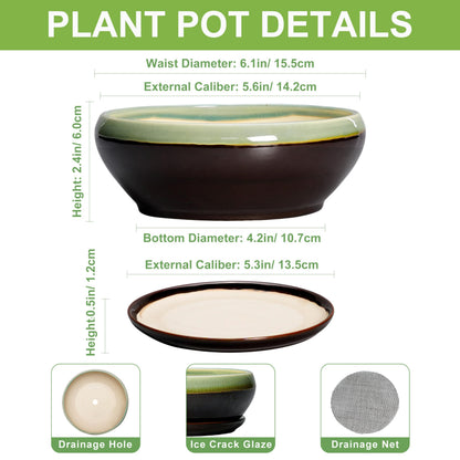 SQOWL Succulent Pots 6 Inch - Shallow Ceramic Planter, Bonsai Pot with Drainage Hole and Saucer, Round Ceramic Succulent Planter for Indoor Outdoor Plant, Kitchen Decor, Plant Lover Gift, Green-Brown