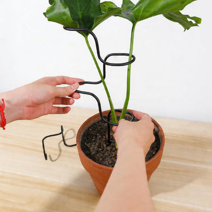 GOOOXIM 3PCS Indoor Plant Support Stakes - Sturdy Metal Trellis for Garden Flowers & Monstera, Durable & Easy to Use, Perfect for Small to Medium Indoor Plants, Ideal Gift for Plant Lovers!