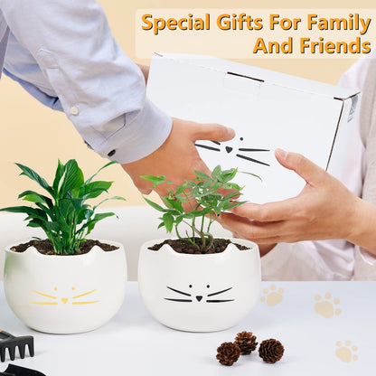 Koolkatkoo 5.5 Inch Cute Cat Succulent Planter Pots Cactus Planters Flower Pots White Set of 2