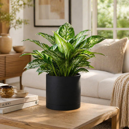 Giraffe Creation 12-Inch Round Cylinder Plant Pot, Modern Indoor/Outdoor Planter with Drainage Hole, Saucer & Water Reservoir, Black