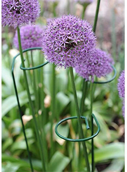 Tingyuan 24 Inches Single Stem Plant Support Stakes Steel Garden Stakes Plant Atem Support, Pack of 20