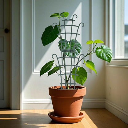 Plant Trellis for Potted Plants, Small Trellis for Climbing Plants Indoor, Plant Trellis Outdoor, Stackable Plastic Garden Trellis Support for Climbing Vines, Hoya, Pothos, Houseplants (10)