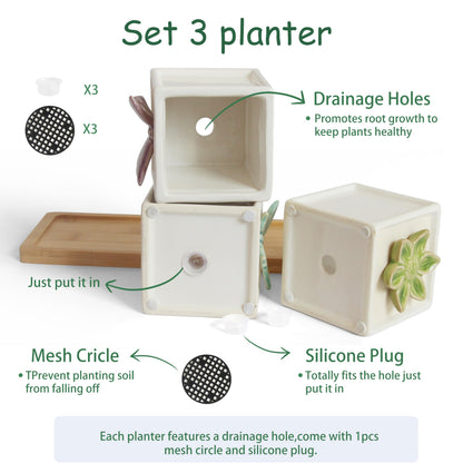 Gnliny 3.1 Inch Ceramic Succulent Pots with Bamboo Tray - 3Pcs Square Planters with Drainage Holes, 3D Butterfly & Flower Design for Indoor Plants, Desk Organizer for Home Office
