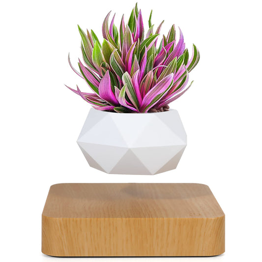 Babook Levitating Air Bonsai Pot, Cool Stuff,Rotation Flower Pot Planters, Potted Plant Home Desk Decor in Flower Pots & Planters from Home & Garden on (Light Color)