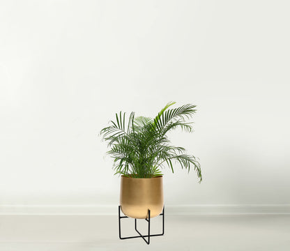 Olly & Rose 8.5 Inch Gold Metal Plant Stand with Pot - Indoor Planter, Large Flower Pot