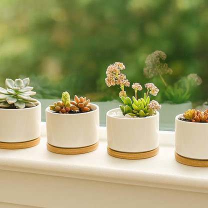 ZOUTOG Ceramic Succulent Pots,3.6 Inch Plant Pots,Succulent Planters with Drainage Hole & Bamboo Tray for Indoor Plants,White Small Flower Planters for Home,Office,Desk(6 Pack)