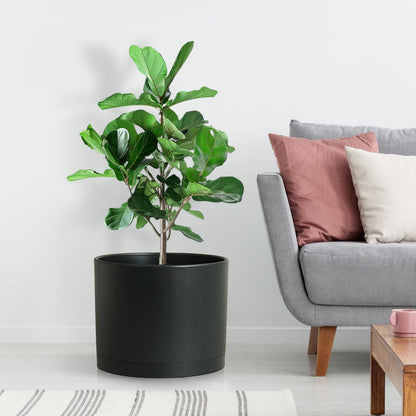 DGJDLWHX Large Plant Pots Set of 3 – 8", 9", 10" Indoor Flower Pots with Drainage Holes and Saucers, Big Planters for Monstera, Fiddle Leaf Fig, Snake Plant – 5 Colors