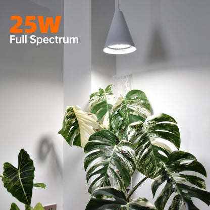 Bstrip Hanging Grow Lights for Indoor Plants-25W Full Spectrum 5000K Plant Light with 4H/9H/14H Timer& 16.4FT Power Cord for Indoor Growing, Ideal for Large Tall Plant, Garden and Flowers Greenhouse