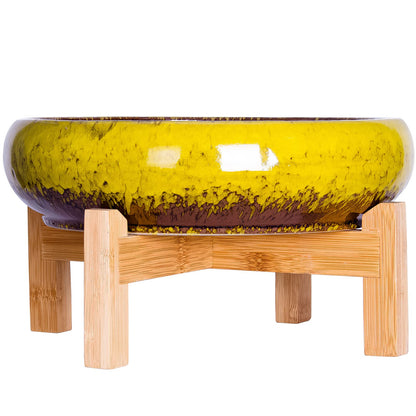 ARTKETTY Succulent Pots - 10 Inch Ceramic Bonsai Pots with Drainage Stand, Large Shallow Planters for Indoor Plants Glazed Cactus Flower Planter Container Bowl