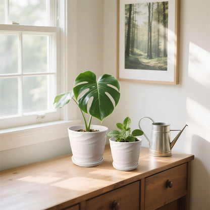YUFDA 6.7 + 5.5 Inch Plant Pot, Ceramic Planter with Drainage and Saucer,Ceramic Pots for Plants, Indoor Plant pots,Succulent Orchid Flower Pot(Pure White)