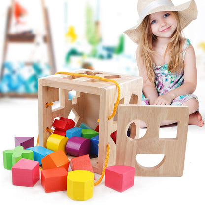 QZMTOY Shape Sorter Toys with 19 Shape Blocks, Classic Wooden Toys for Toddlers Kids, Gift for Girls Boys 2-4 (Natural Solid Wood)
