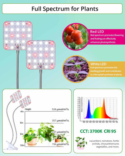 DOMMIA Plant Light, Dimmable Desk Clip on Plant Light for Indoor Plants with 6/12/16h Timer, Gooseneck Grow Lamps, Full Spectrum for Seeding, Succulent, Potted Plants, 2-Head