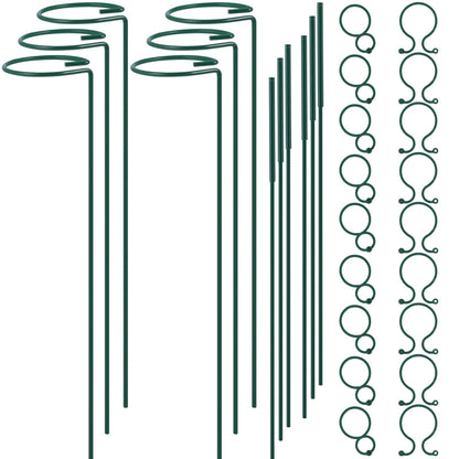 Plant Stake Support - 6 Pack Adjustable Height 12" or 24", Garden Support Stake Plant Cage Support Rings, Single Stem Plant Support Stakes, for Flowers Amaryllis Tomatoes Peony Lily Rose (24inch)