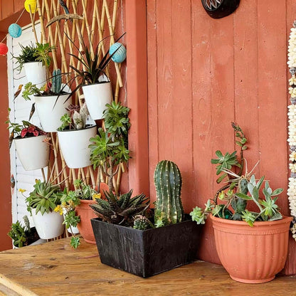 3 Pack Self Watering Wall Hanging Planter Pots Vertical Garden Window Hang Mount Indoor Outdoor Plant Flower Basket for Kitchen Herbs Balcony Railing Shelf Fence Bedroom Trellis Decor Modern White Box