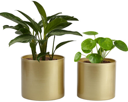Vixdonos Metal Flower Pots Garden Planters Indoor Round Succulent Containers, Pack 2 Cactus Plant Pots with Drainage Hole (5.9inch+6.7inch, Gold)