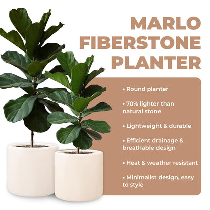 DEPLA LANE Lumero Fiberstone Cylinder Planter (14.0" Pot Opening x 15.7" D x 15.7" H) Smooth Finishes, Lightweight, Durable, UV Resistant, Minimalist Decor, Indoor Outdoor Plant Pot (XL, Cream White)